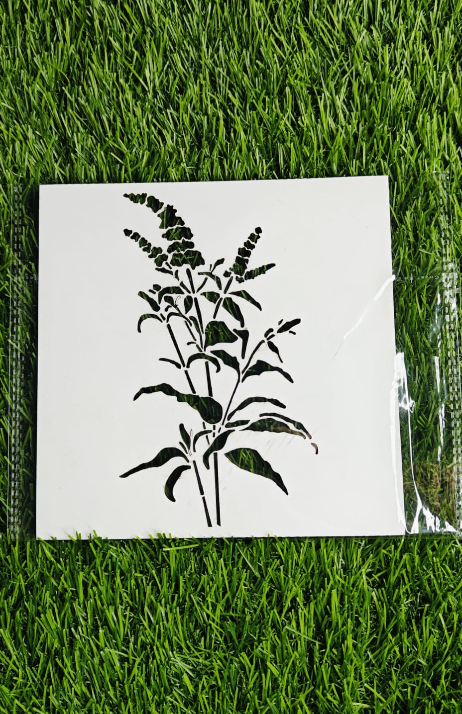 crop - 6*6 inch