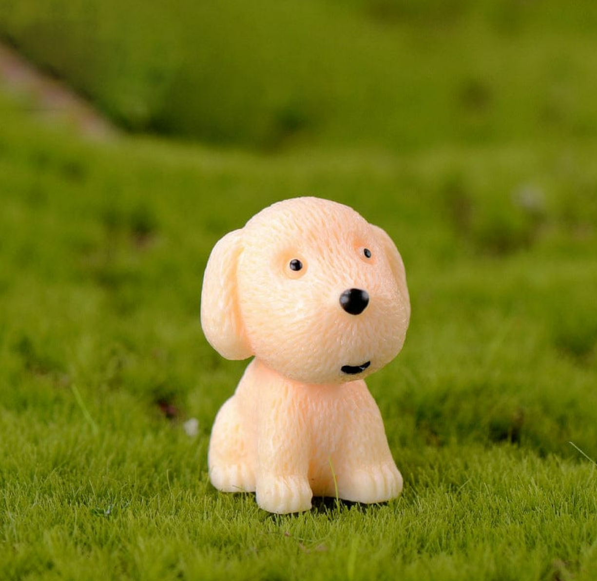 Puppy