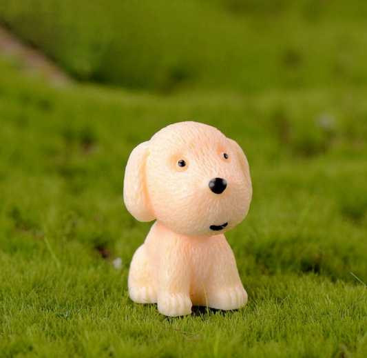 Puppy