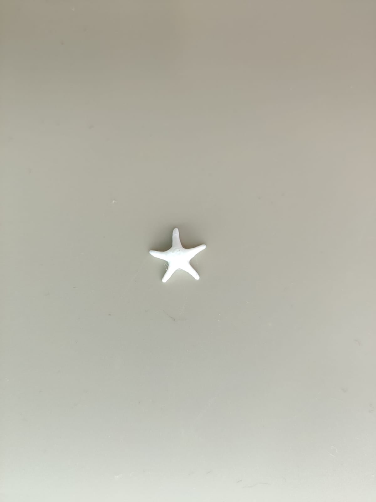 White starfish - small